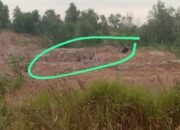 Tambang Ilegal Melawan Hukum Rugikan Aset Negara Sengaja Ada Pembiaran
