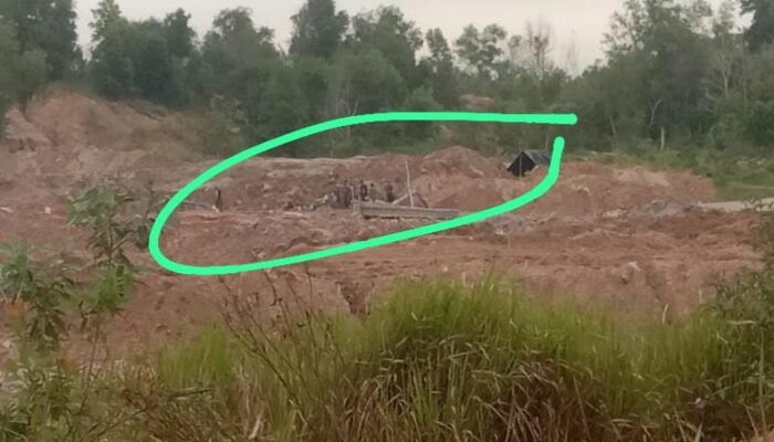 Tambang Ilegal Melawan Hukum Rugikan Aset Negara Sengaja Ada Pembiaran