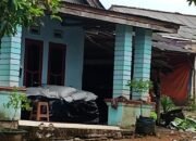 Babel Parah!! Penjualan Pupuk Subsidi di Atas HET ,Petani Komplin Ketua Gapoktan Lestari Tantang Kebijakan Pemerintah