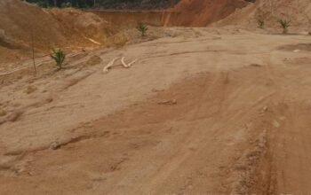 Putra : Ini Semua Kesalahan Ada di PT. Timah Tbk