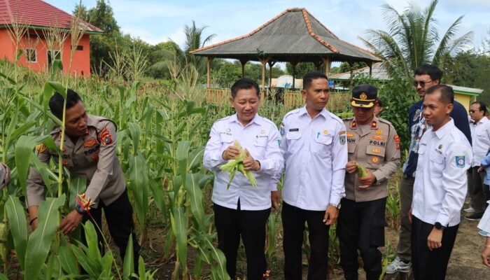 Polres Bangka Barat Laksanakan Zoom Meeting dan Panen Perdana Jagung Serentak
