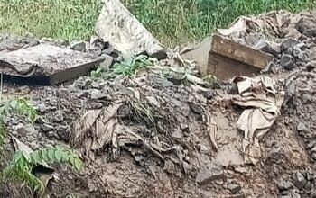 Mencuat Kasus 200 Ton Timah Balok di Smilter Hendri Lee Begini Ceritanya