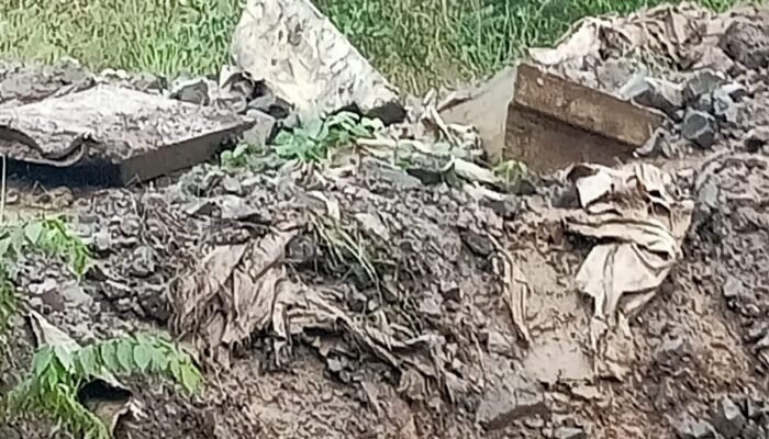 Mencuat Kasus 200 Ton Timah Balok di Smilter Hendri Lee Begini Ceritanya