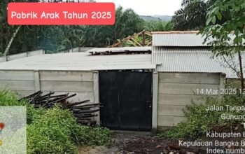 Polisi Harus Bertindak! Pabrik Arak Ilegal di Air Abik Diduga Dilindungi Oknum, Masyarakat Desak Penutupan