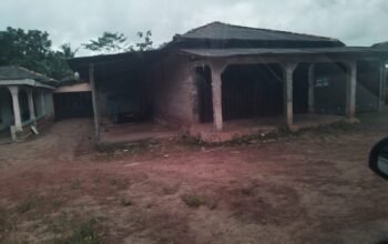 Legenda Kolektor Timah Ilegal di Jalan Jongkong 12 Simpang Perlang Koba Bernama Riki