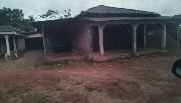 Legenda Kolektor Timah Ilegal di Jalan Jongkong 12 Simpang Perlang Koba Bernama Riki