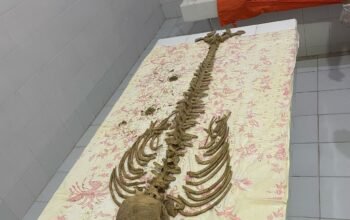 Kapolres Bangka Barat Imbau Masyarakat Tidak Heboh Dengan Temuan Tengkorak di Pantai Batu Rakit