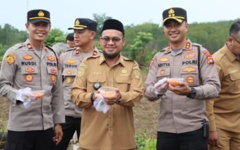 Kapolres Bangka Barat Dukung Penuh Ketahanan Pangan, Penanaman Perdana Jagung Pipil di Dusun V Belo Laut