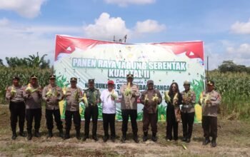 Secara Virtual Polres Bangka Tengah Gelar Panen Raya Jagung Serentak Kuartal II Tahun 2025