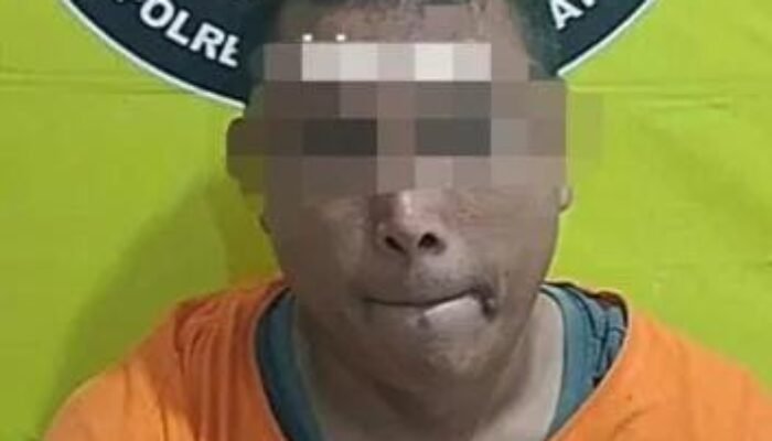 Viral ?? Sang Jurnalis Terkenal Dengan Tulisan Intimidasi Sesama Media Beakhir di Balik Jeruji Besi