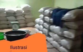 Mengejutkan David Toboali di Sebut Big Bos dari Kolektor Ternama Bagong dan Boy di Kecamatan Lepar Pongok