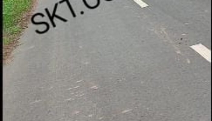 Diduga Barang Sitaan Kejagung RI di Beli Bos Doel dari Jebus Penjual Luantini Pangkalpinang
