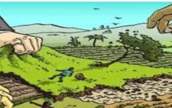 Lahan Kebun Sawit PT.BAP diduga Hasil Rampasan Ir.Rudianto Jhen Hutan Mengrove Bukit Layang