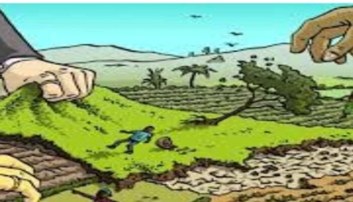Lahan Kebun Sawit PT.BAP diduga Hasil Rampasan Ir.Rudianto Jhen Hutan Mengrove Bukit Layang