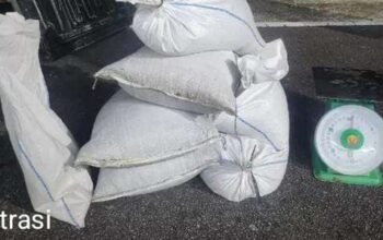 Ino Kolektor Timah Ilegal diduga Mengancam dan Intimadasi Insan Pers