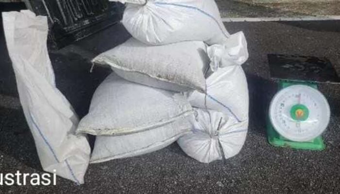 Ino Kolektor Timah Ilegal diduga Mengancam dan Intimadasi Insan Pers