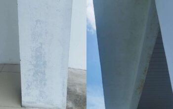 Cat Gedung Dinas Pendidikan Babel Dipertanyakan, Proyek Pemeliharaan Rp199 Juta Disorot Publik