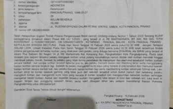 Mery.Minta Tim Naga Harus Mengambil Tindakan Cepat Agar Birin Segera di Kurung