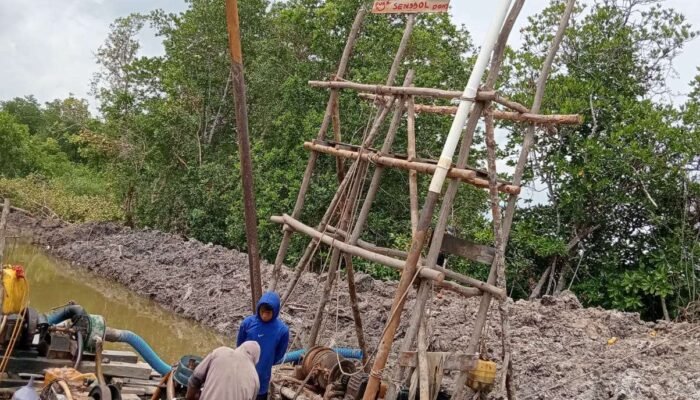 Mangrove Dusun Mengkubung Dibabat, Tambang Ilegal Bebas: APH Didesak Bertindak