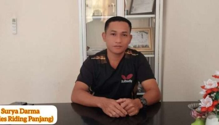 Mangrove Dibabat, Ekskavator Menghilang: Kisah Tragedi Tambang Timah Mengkubung