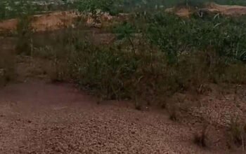 Dugaan Hasil Tambang Timah diKlaim WIUP Dibagi Dua Antara PT.Timah dan Peleburan Swasta