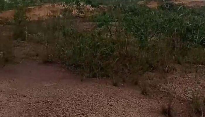 Dugaan Hasil Tambang Timah diKlaim WIUP Dibagi Dua Antara PT.Timah dan Peleburan Swasta