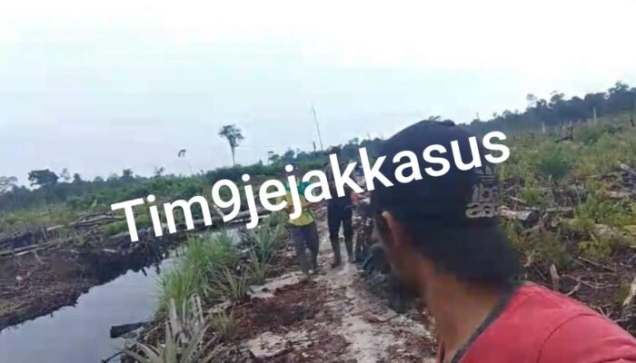 Kadus Tanjung Pura Hery: Pak Kades Bilang Yang Memimpin HD Ini Anaknya Pak Dayat 