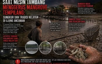 Lubang Tambang Ilegal Menggantikan Rumah Rebon, Sungkur dan Mangrove Nelayan Tempilang di Ujung Senja