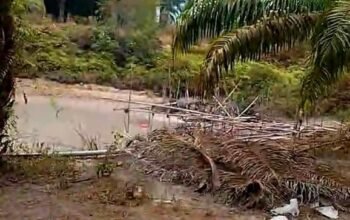 Kolektor Timah Sam Terak Bekingi Penambang, Eeww ko Gebok Ade kelak