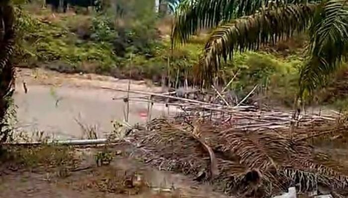 Kolektor Timah Sam Terak Bekingi Penambang, Eeww ko Gebok Ade kelak